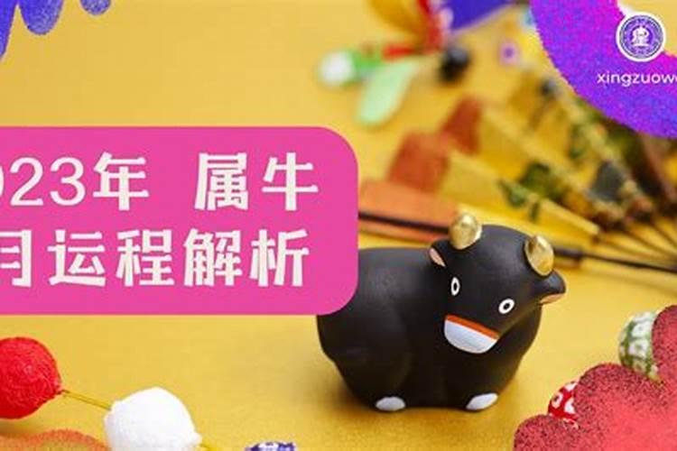 属牛七月出生命运如何