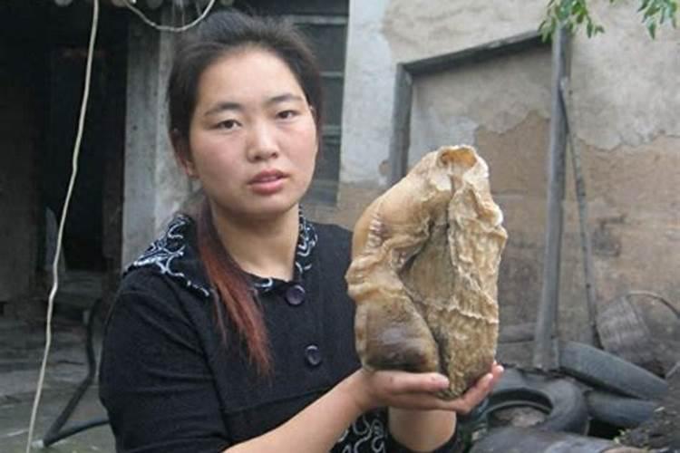 虎女生在三月好吗 属虎几月出生是富贵命