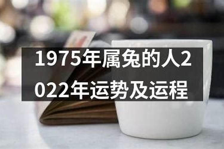 梦见女朋友和别的男人在吃饭的预兆