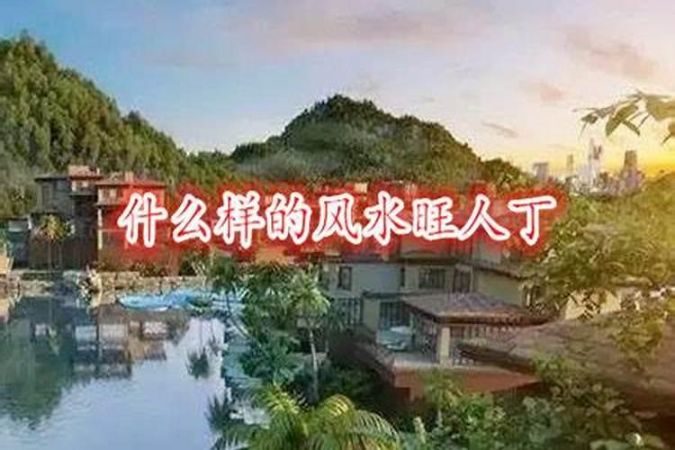 最有用的官运风水物催旺官运的风水吉祥物？