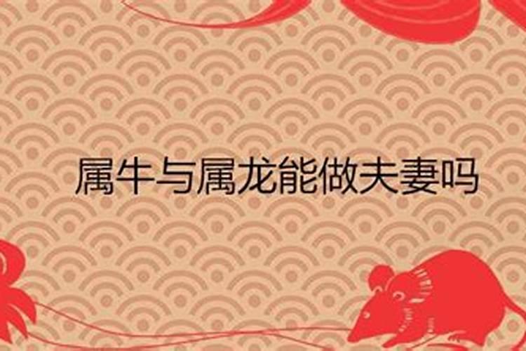 牛女比龙男大三岁的婚姻合婚好吗？