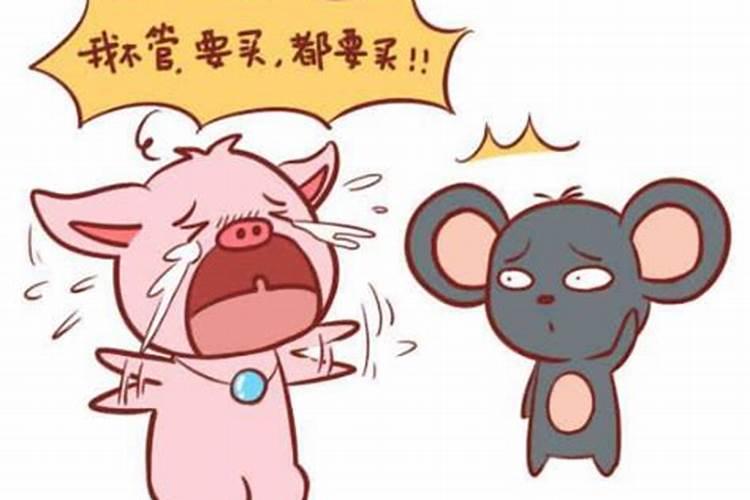 女属鼠男属猪在起好吗？