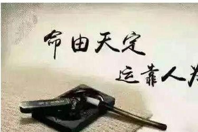 请问算命中的月令指的是什么,什么叫得月令？不太懂这个当中的意思,？