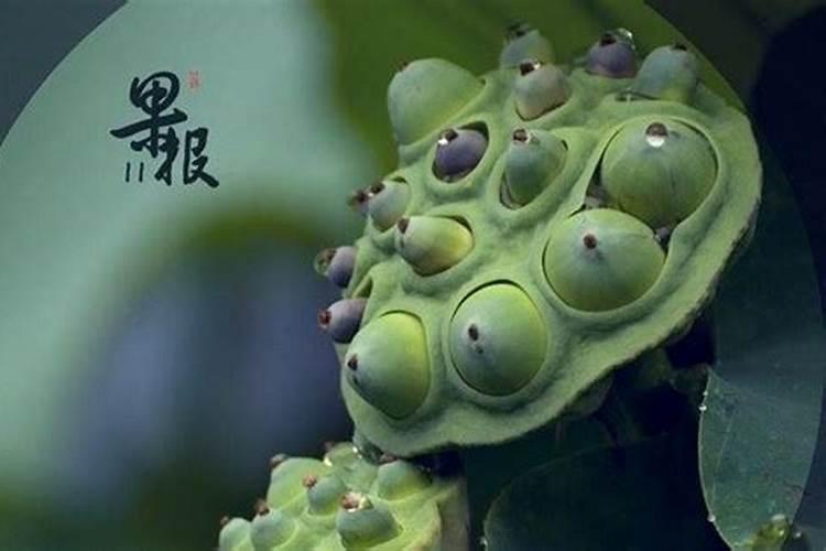 70狗男2025年每月运势