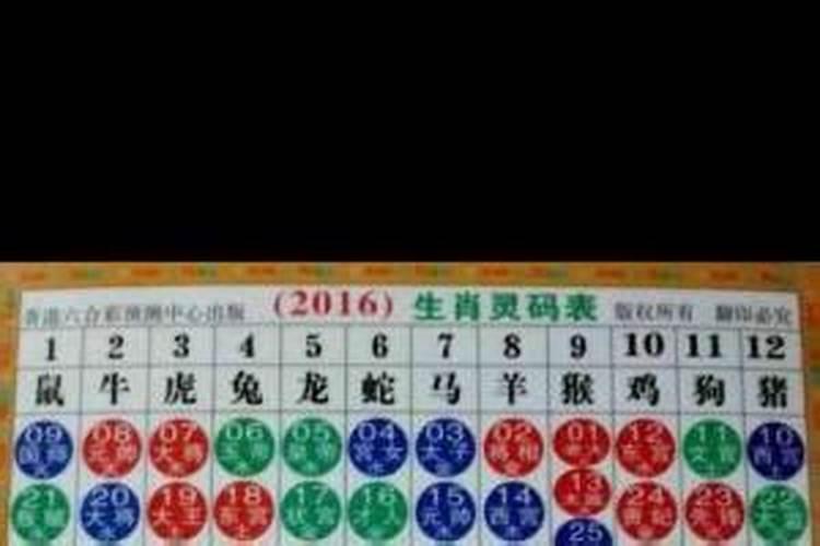 2024农历9月龙是什么命