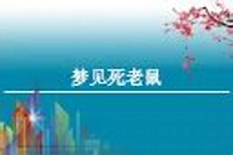 周公解梦梦见死老鼠是什么意思 梦见死老鼠是什么预兆