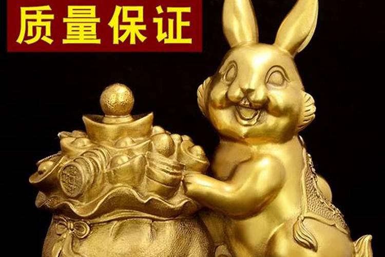 属兔配什么聚财最旺风水