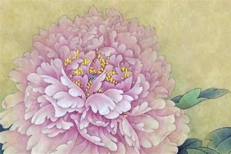 八字桥村村情概述
