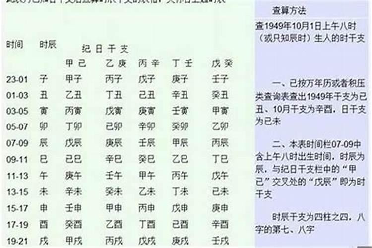 乙丑 辛巳 乙巳 丙子 代表着什么解释？