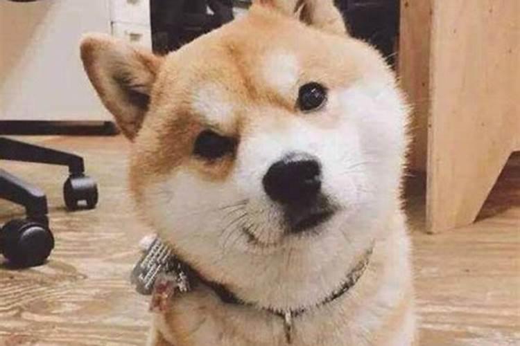 梦见死去的父亲在官财里翻滚出来还活着？