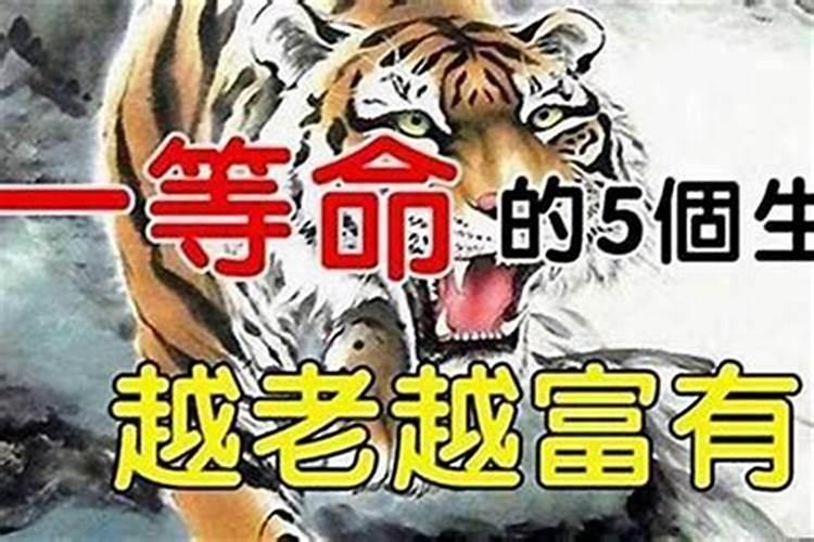 出身豪门的生肖