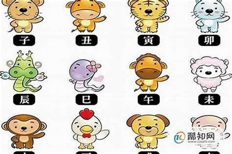 1965年阳历2月1日出生,是强火,还是弱火