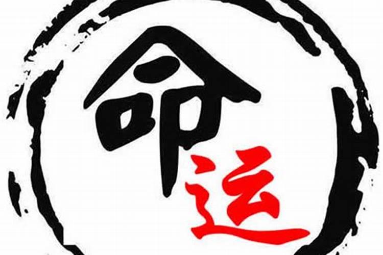 1994年农历十月三十巳时生人的命运