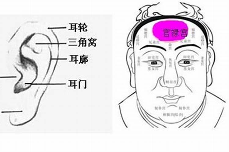 从八字的角度看,哪些人天生就有老板