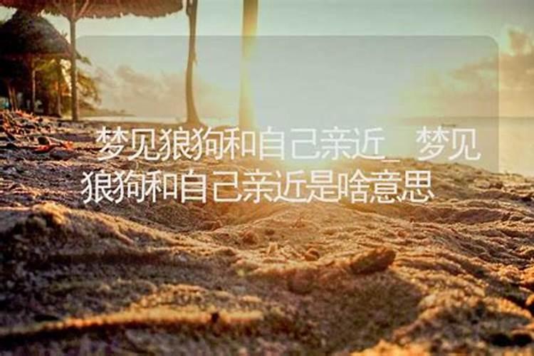 正月初五出门好不好