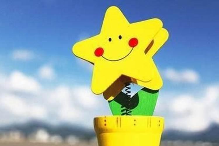 探险作文500字五年级热带雨林
