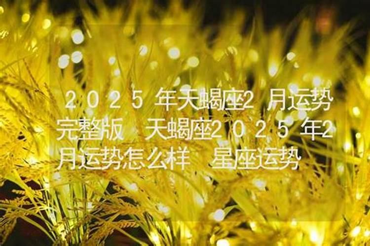2023年属马2月运程解析？