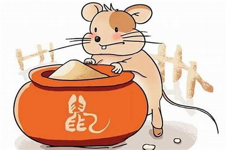 本命年鼠年要注意什么