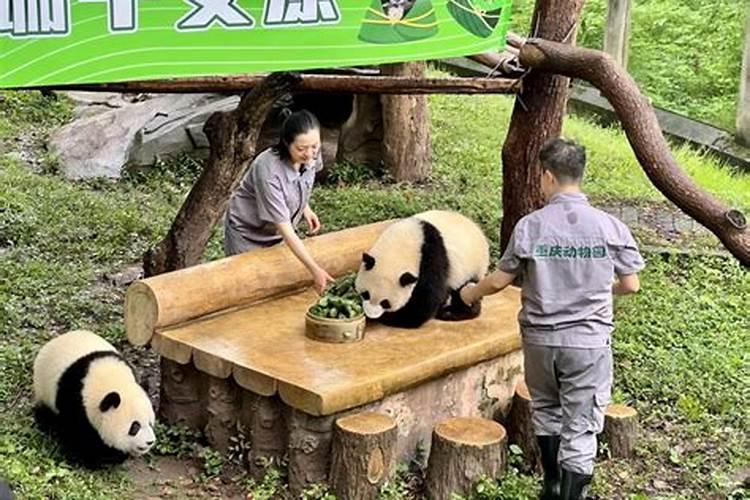 端午节代表什么生肖 端午节介绍