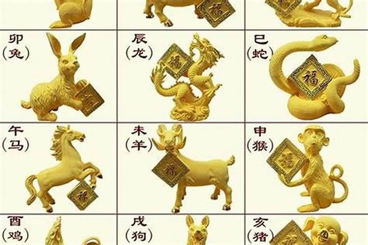 牛的下半年运气