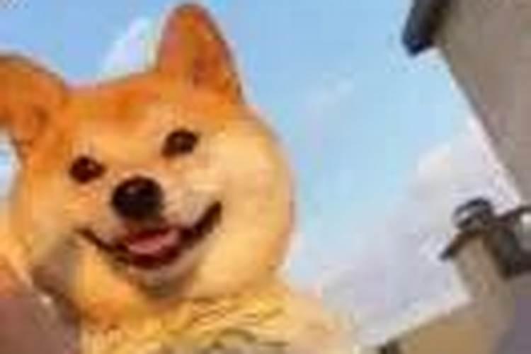 梦见老虎要吃我是什么意思？