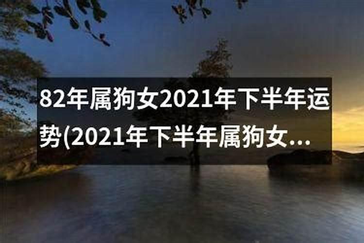 82年女狗2025年5月运势