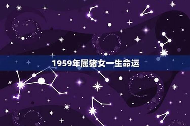 属鼠女2025年全年运势