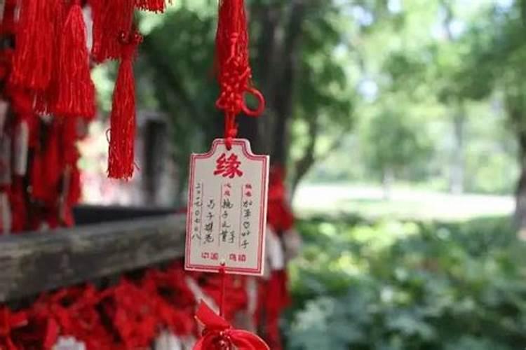 91年的羊男2025年运势如何