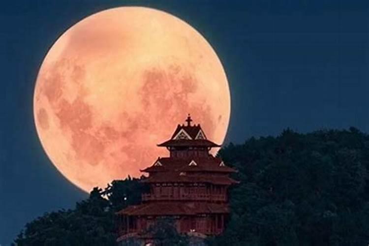 梦见老虎在追赶家人的预兆