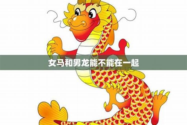 男女双方都属龙的在一起好吗？