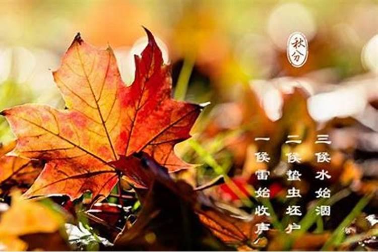 秋分养生保健要注意哪些事项