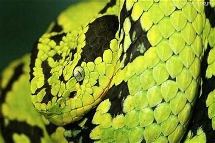 7月15中元节是什么意思 阴历7月15中元节是什么意思
