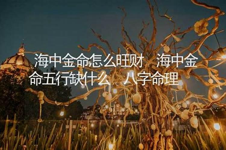 海中金命是什么意思