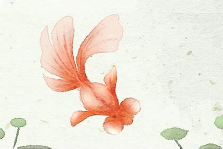 谢沅瑾2015生肖运势