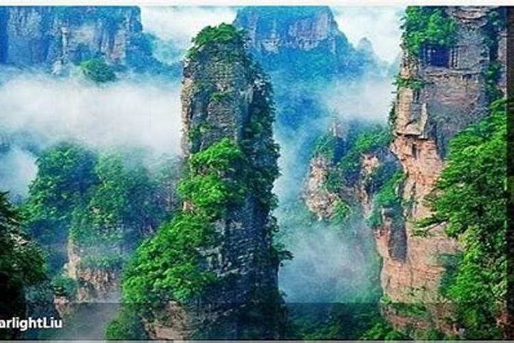 湛江人家乡的春节风俗
