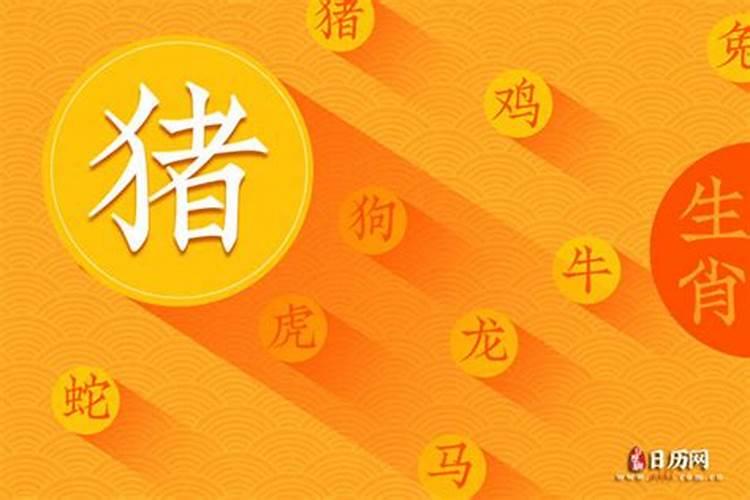 怎么判断内八字和外八字？
