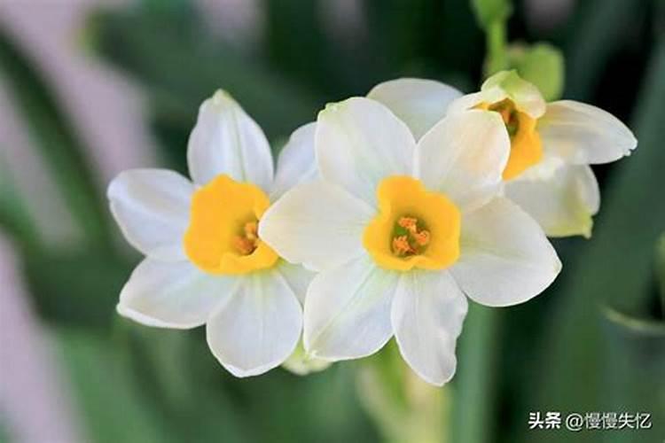 两人复合的民间方法,分手复合的方法有哪些