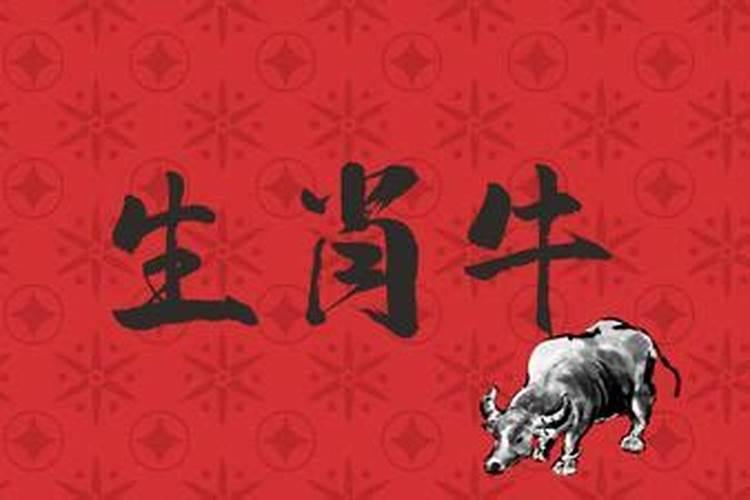手机版算命蕞准的 软件
