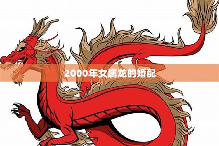 龙和龙属相是否可以婚配吗能过一辈子吗