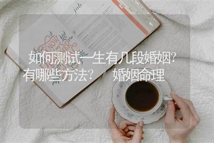 大师:本人 八字:戊辰 辛酉 丙寅 戊戌,是公司法人,姓名:刘飞虎 帮我...