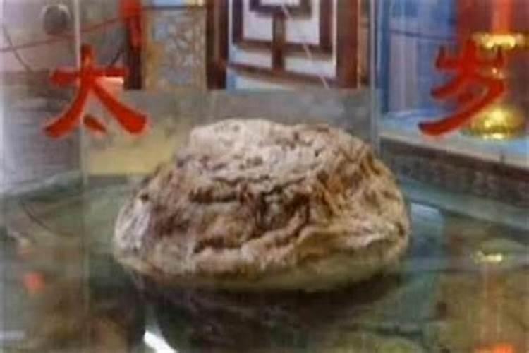 要买到真品的野生太岁,上哪找啊