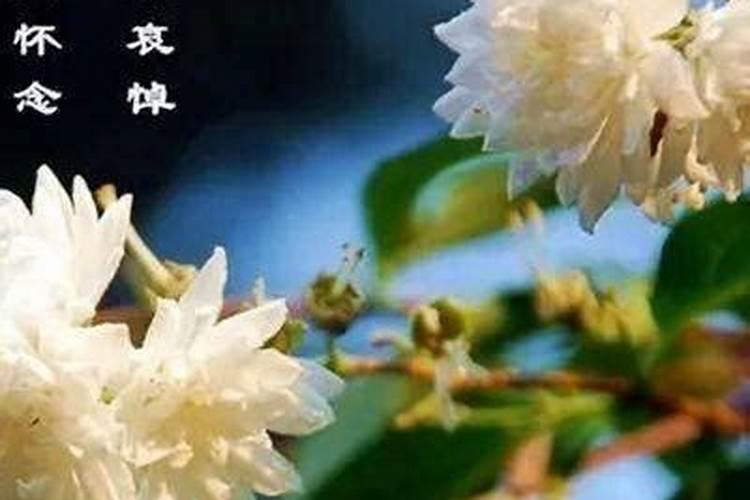 射手座本月运程