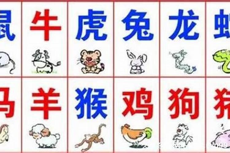 1981年农历5月19日午时出生的运程婚姻怎样