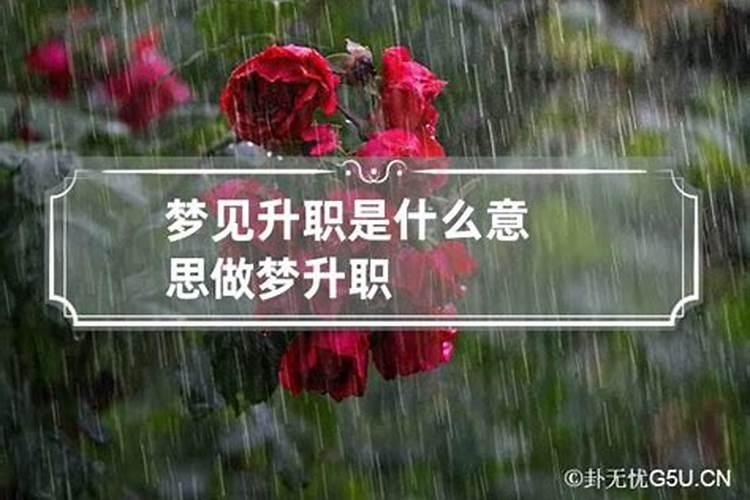85年属牛 2025年整体运势