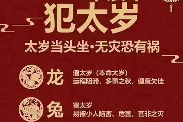 2月27号属狗出生日的命运解析