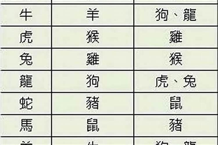 属猪男人和属兔女人相配吗