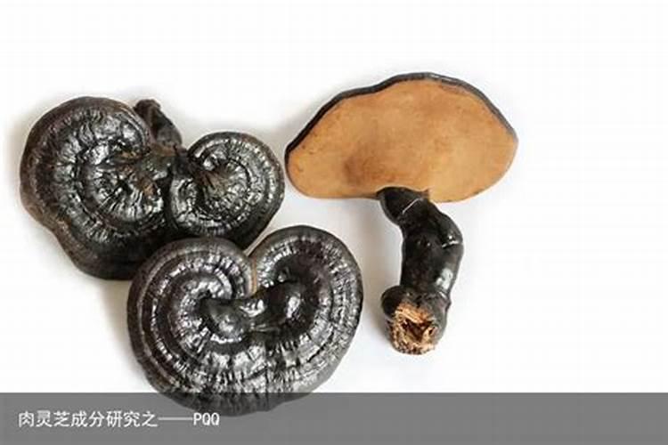 宣威的风俗