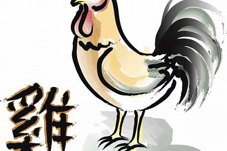 生肖狗:属狗人的流年运程是怎样的