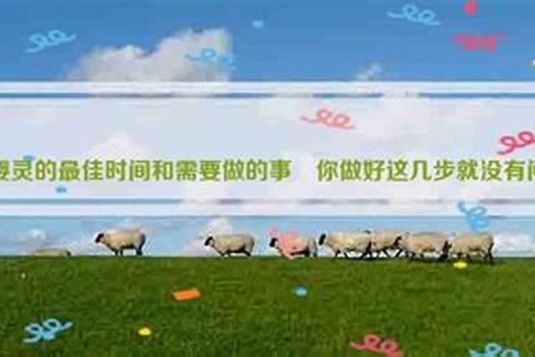 我最崇拜的人 陈胜