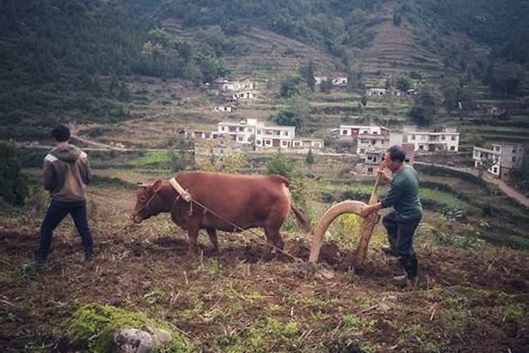 各地寒衣节吃什么